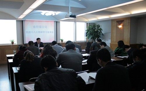 公司組織集中學(xué)習(xí)黨的十八大報(bào)告(圖1) 省擔(dān)保公司組織集中學(xué)習(xí)黨的十八大報(bào)告