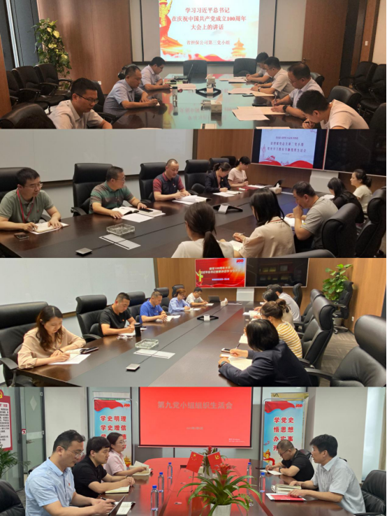 省擔保黨總支組織學(xué)習(xí)習(xí)總書記“七一”重要講話精神(圖1)